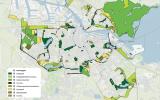 Hoofdgroenstructuur per 06-2024