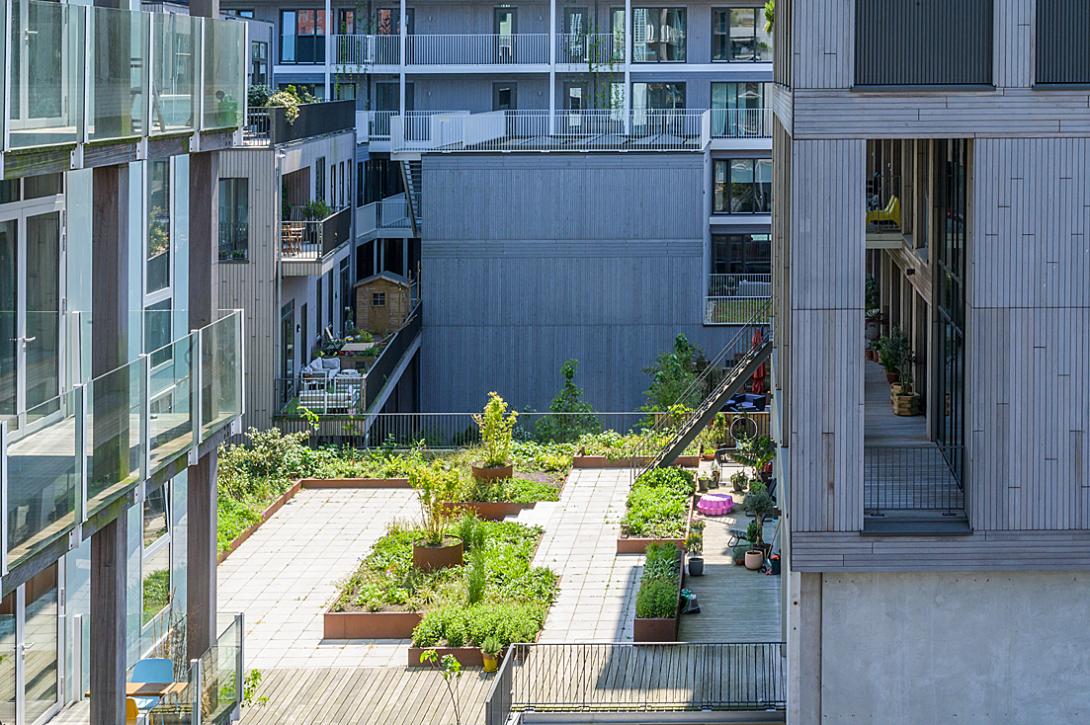 Boterbloemstraat. Langs de IJ-oever wordt in hoge dichtheden gebouwd