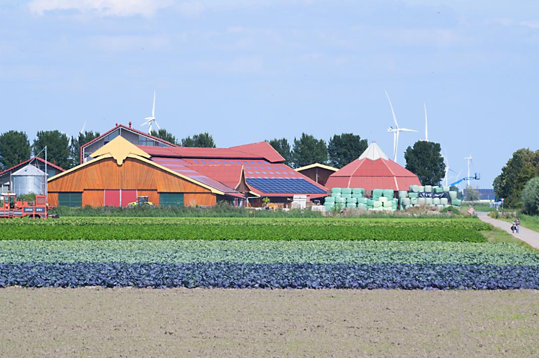 Oosterwold Biologische boerderij "Vliervelden"