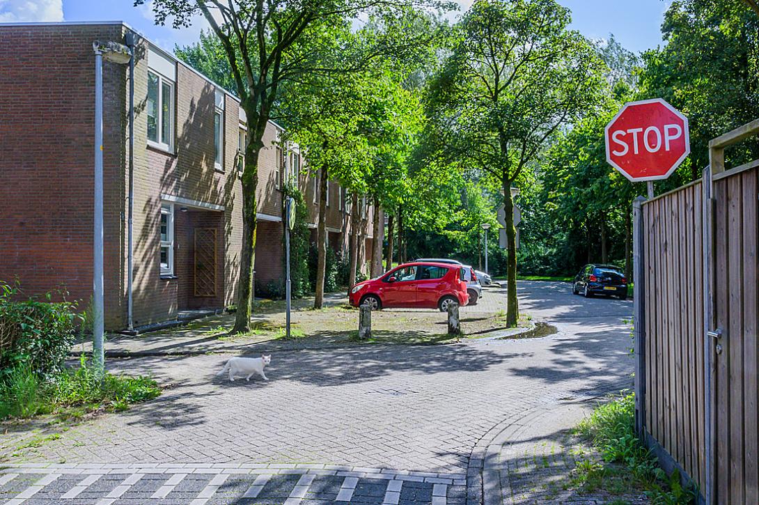 Almere Haven De Hoven