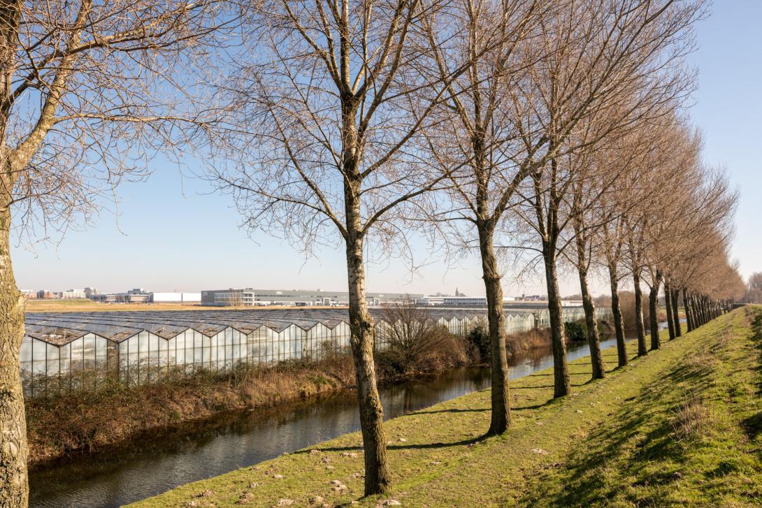 De laatste oude kassen ten noorden van de Geniedijk maken binnenkort plaats voor bedrijventerrein Schiphol Logistics Park (SLP) – Geniedijk, Rijsenhout-Noord.