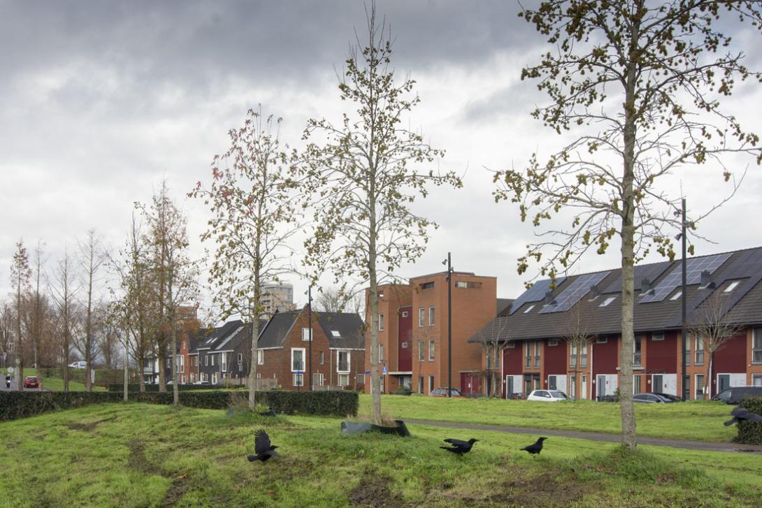 Amsterdam Zuidoost,  Entabeni. Foto: Hans van der Vliet